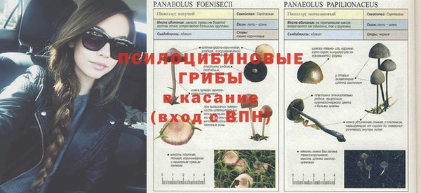 мет Абаза