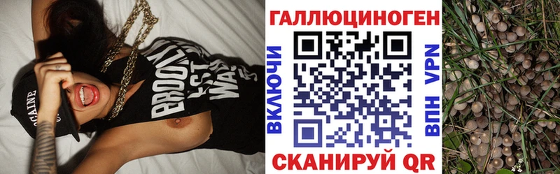 Галлюциногенные грибы MAGIC MUSHROOMS  закладка  Октябрьский 