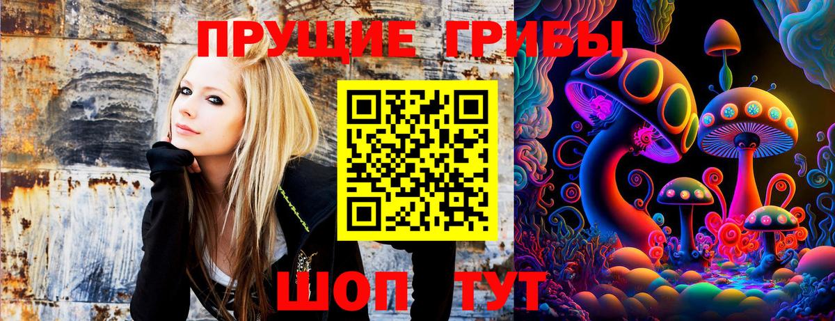 Галлюциногенные грибы Psilocybe Октябрьский